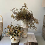 Tillandsia and Lappa Bush in Stone Vases (Set of 2) RTfact Flowers 