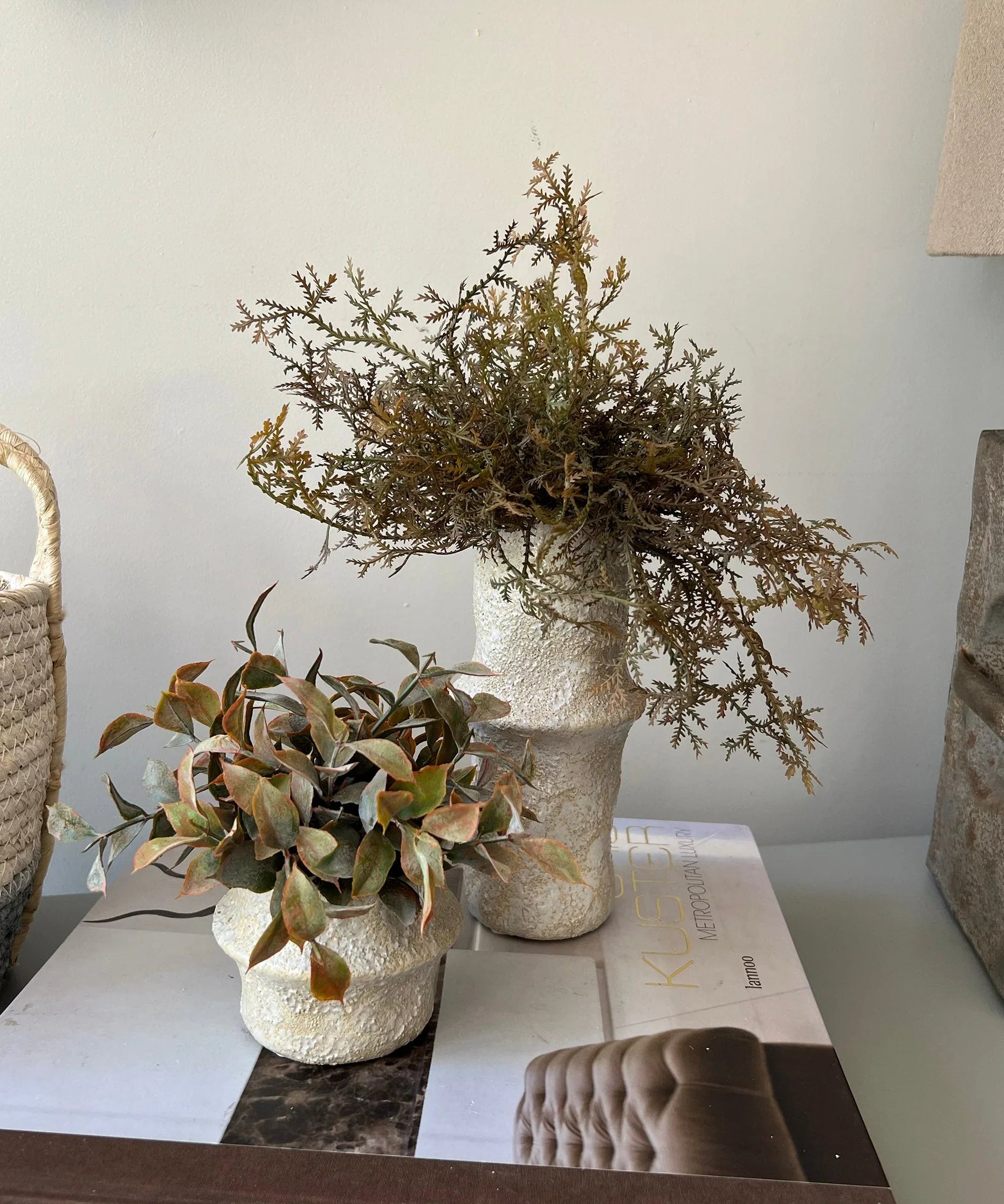 Tillandsia and Lappa Bush in Stone Vases (Set of 2) RTfact Flowers 