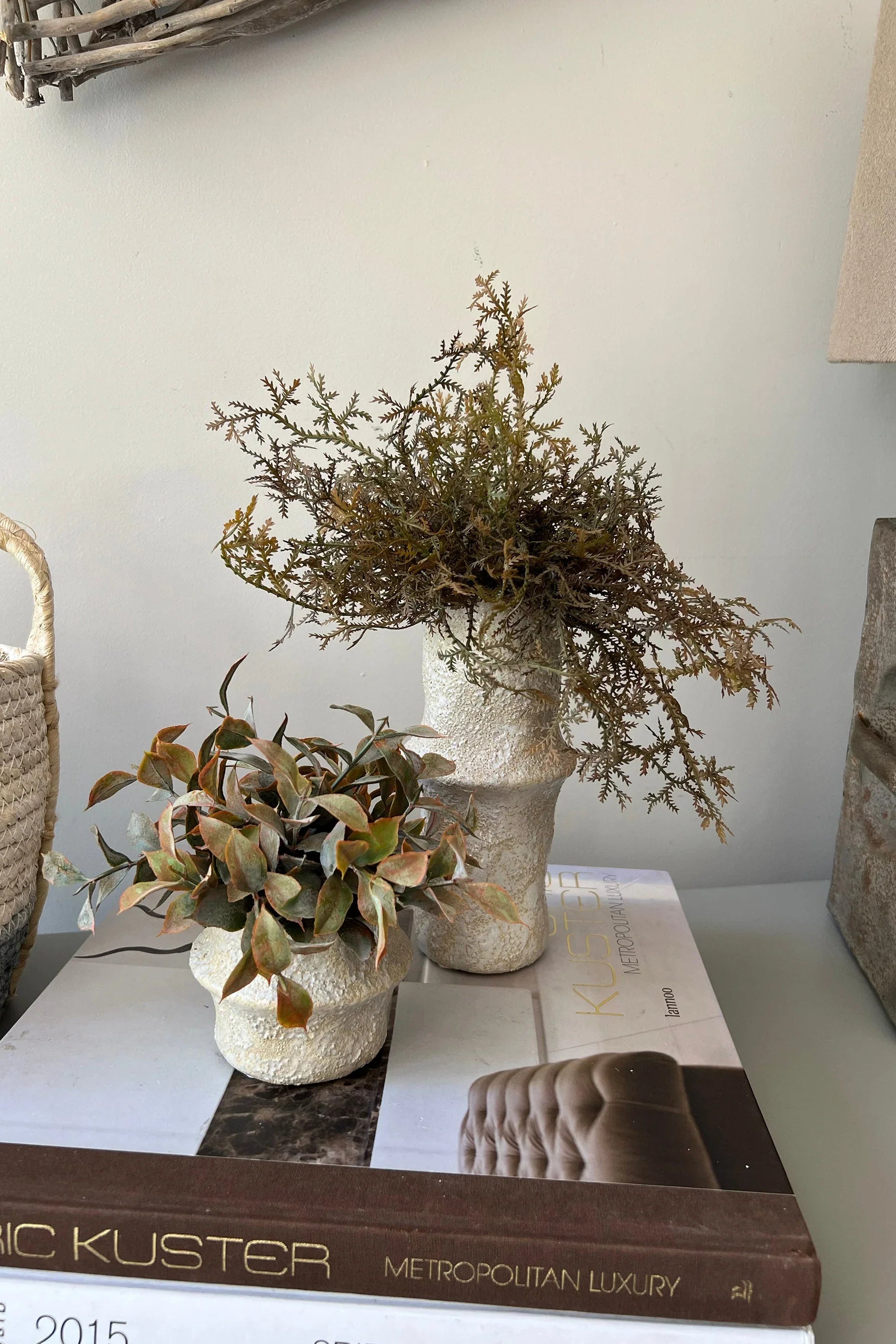 Tillandsia and Lappa Bush in Stone Vases (Set of 2) RTfact Flowers 