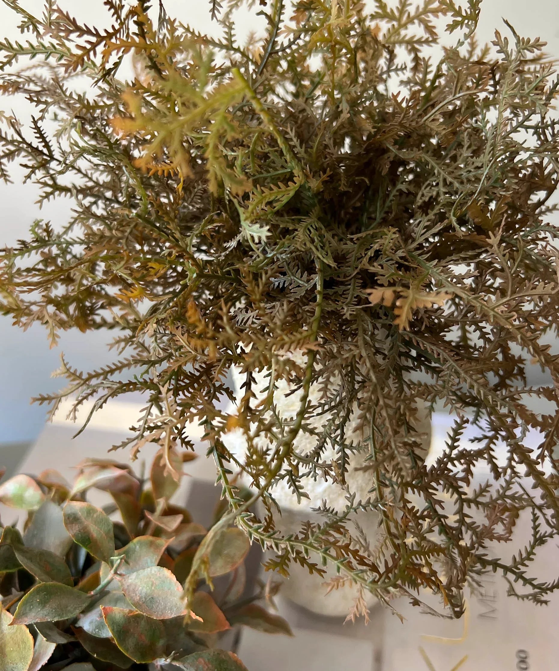 Tillandsia and Lappa Bush in Stone Vases (Set of 2) RTfact Flowers 