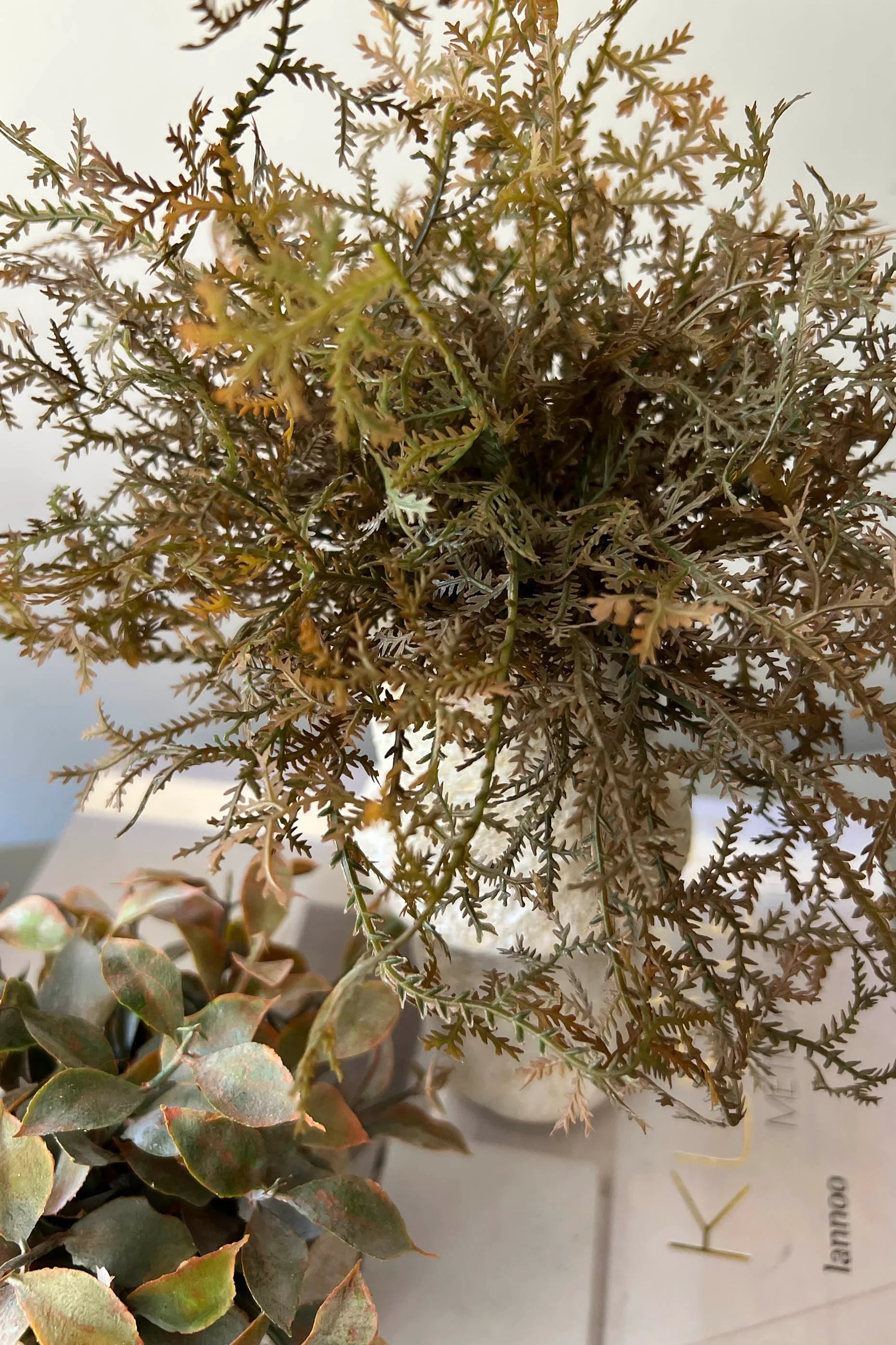 Tillandsia and Lappa Bush in Stone Vases (Set of 2) RTfact Flowers 