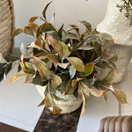 Tillandsia and Lappa Bush in Stone Vases (Set of 2) RTfact Flowers 