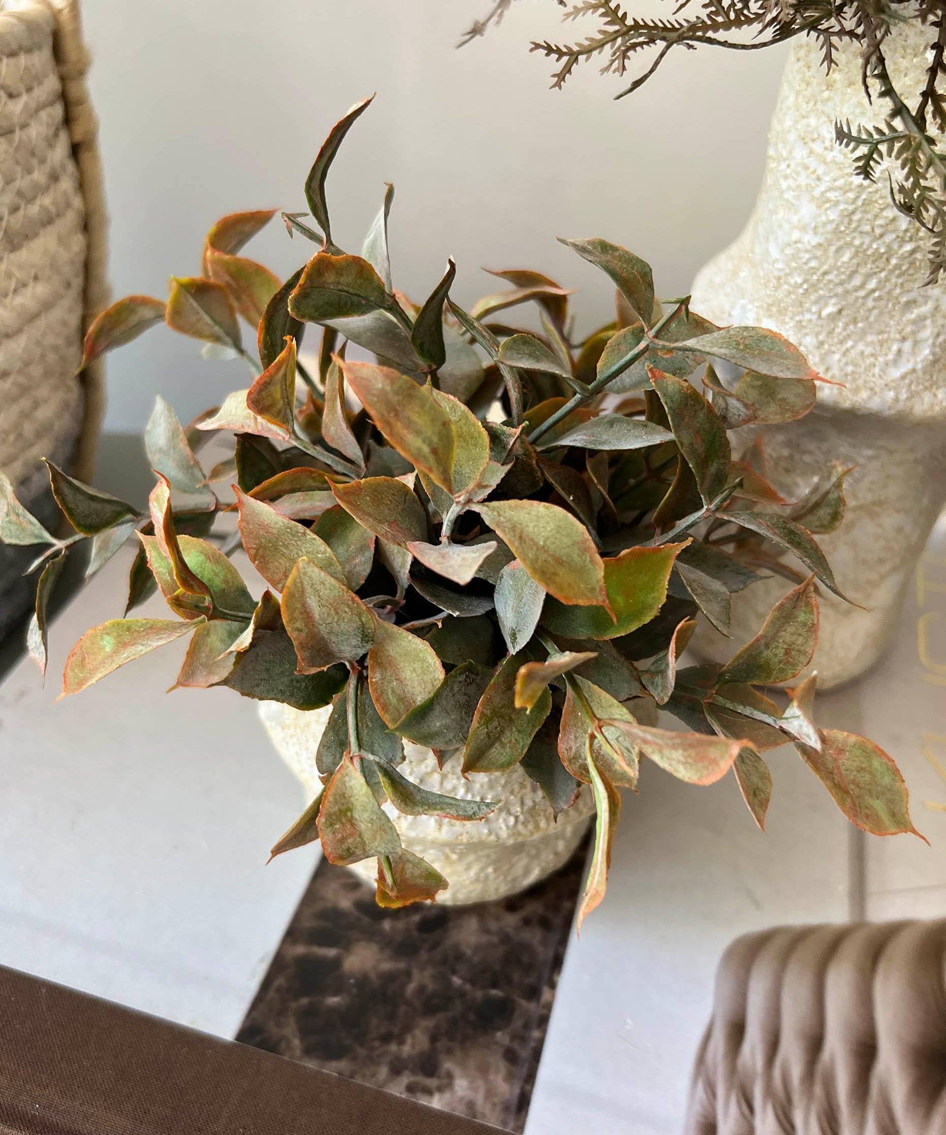 Tillandsia and Lappa Bush in Stone Vases (Set of 2) RTfact Flowers 