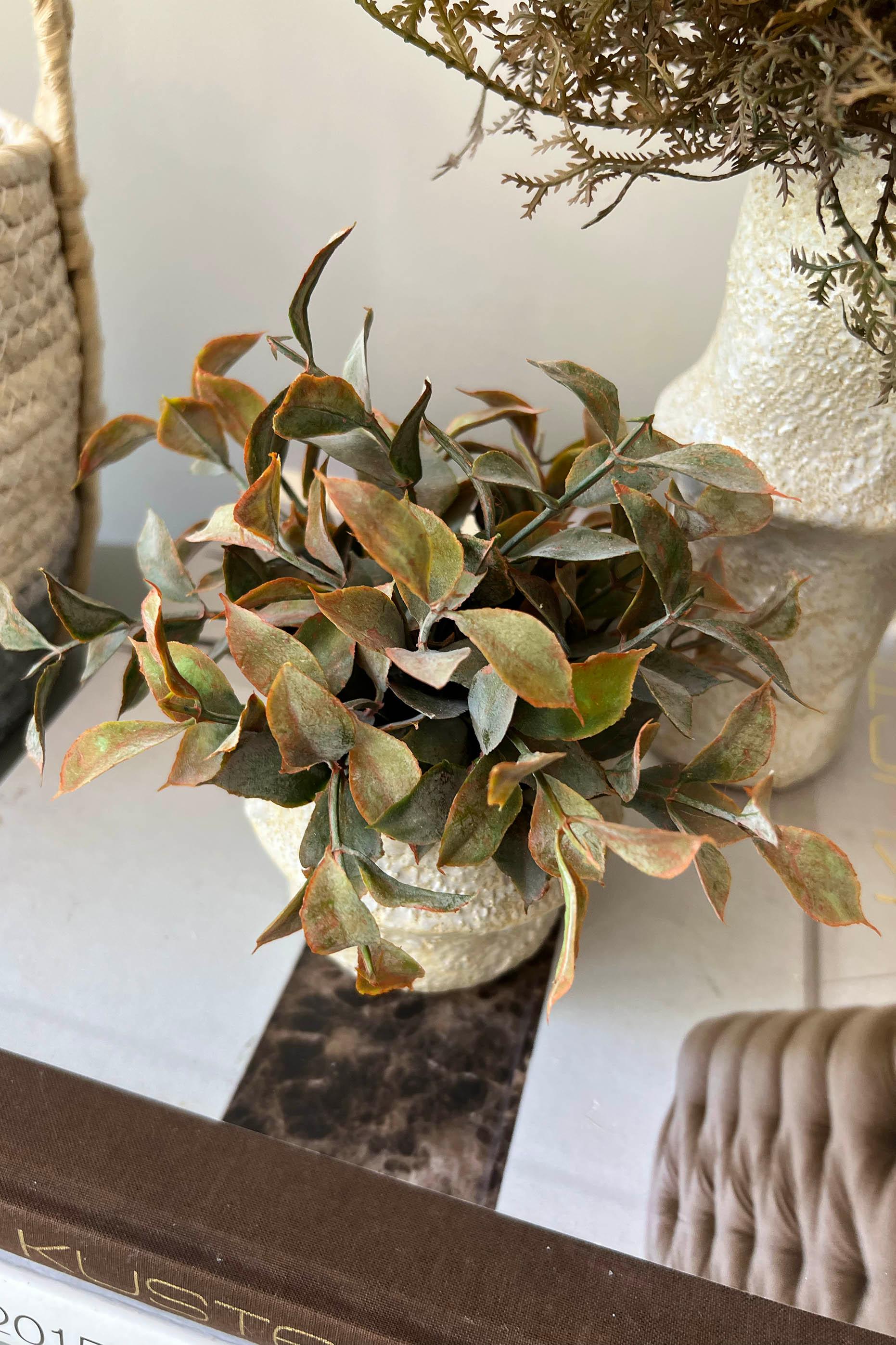 Tillandsia and Lappa Bush in Stone Vases (Set of 2) RTfact Flowers 