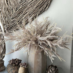 Fern Spray (Taupe) in a Sand Finish Glass Vase RTfact Flowers 