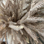 Fern Spray (Taupe) in a Sand Finish Glass Vase RTfact Flowers 