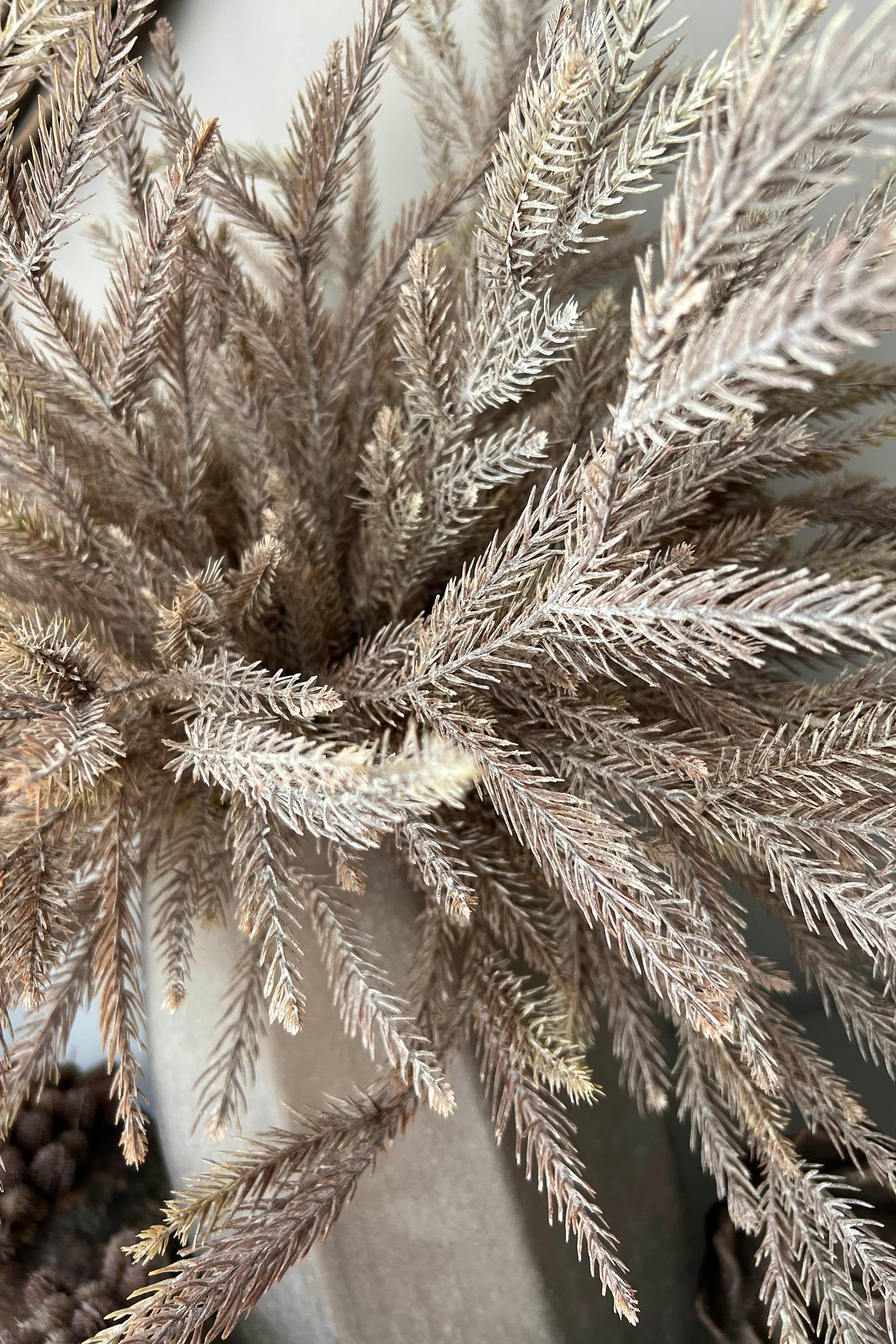 Fern Spray (Taupe) in a Sand Finish Glass Vase RTfact Flowers 