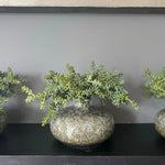 Mini Succulent in a Mottled Ceramic Vase RTfact Flowers 