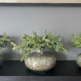 Mini Succulent in a Mottled Ceramic Vase RTfact Flowers 