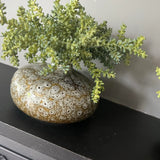 Mini Succulent in a Mottled Ceramic Vase RTfact Flowers 