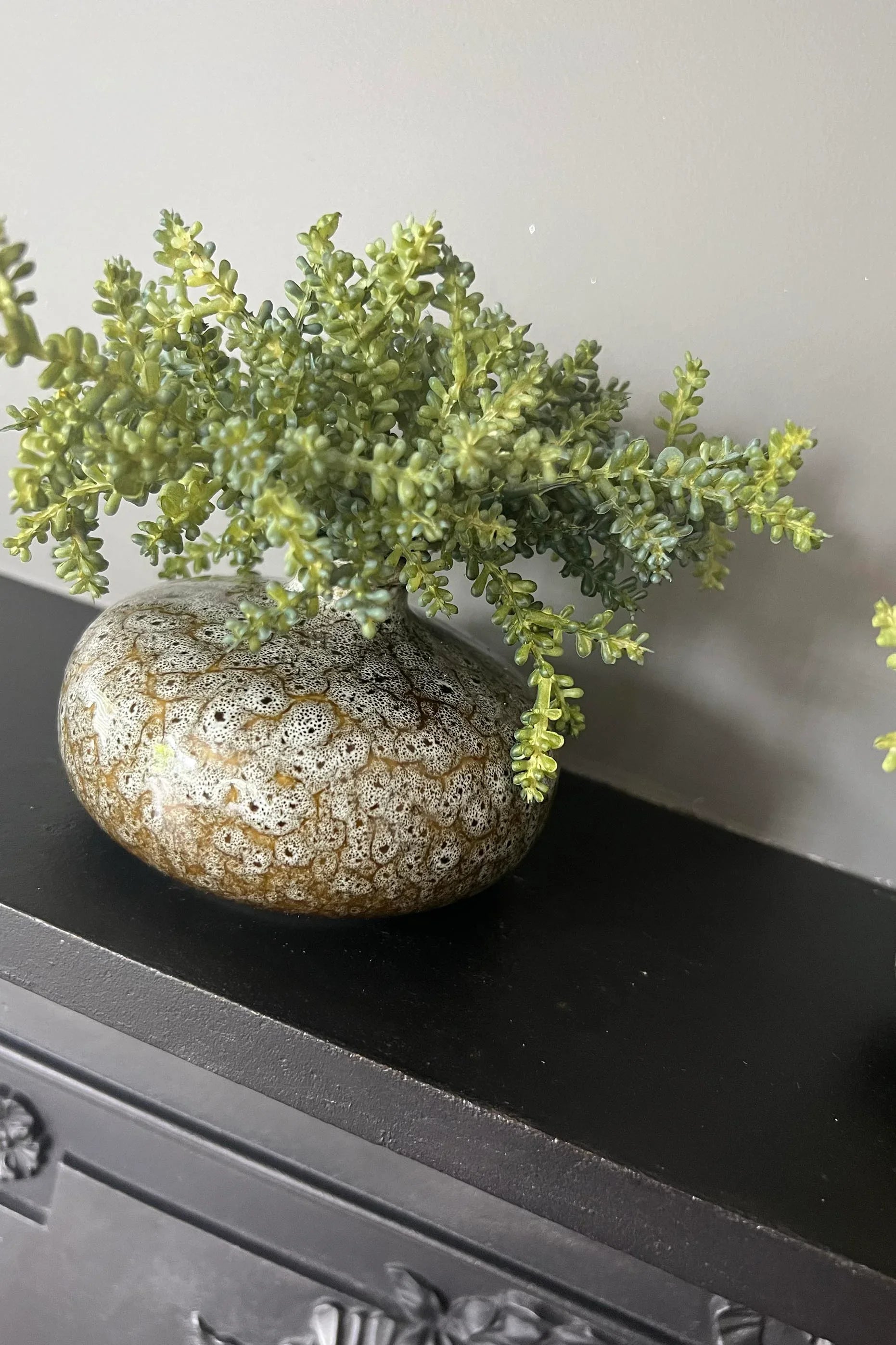 Mini Succulent in a Mottled Ceramic Vase RTfact Flowers 