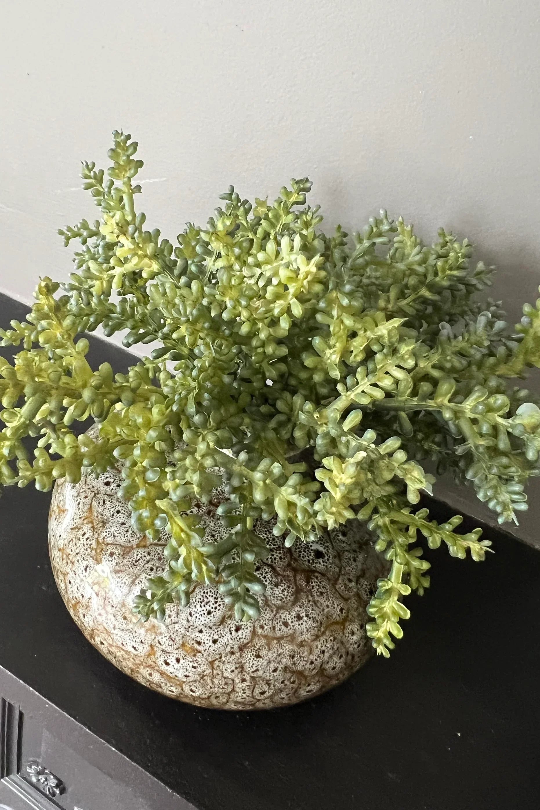 Mini Succulent in a Mottled Ceramic Vase RTfact Flowers 