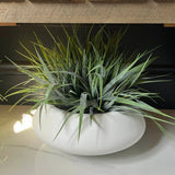 Vanilla Grass in a Matt White Bowl RTfact Flowers 
