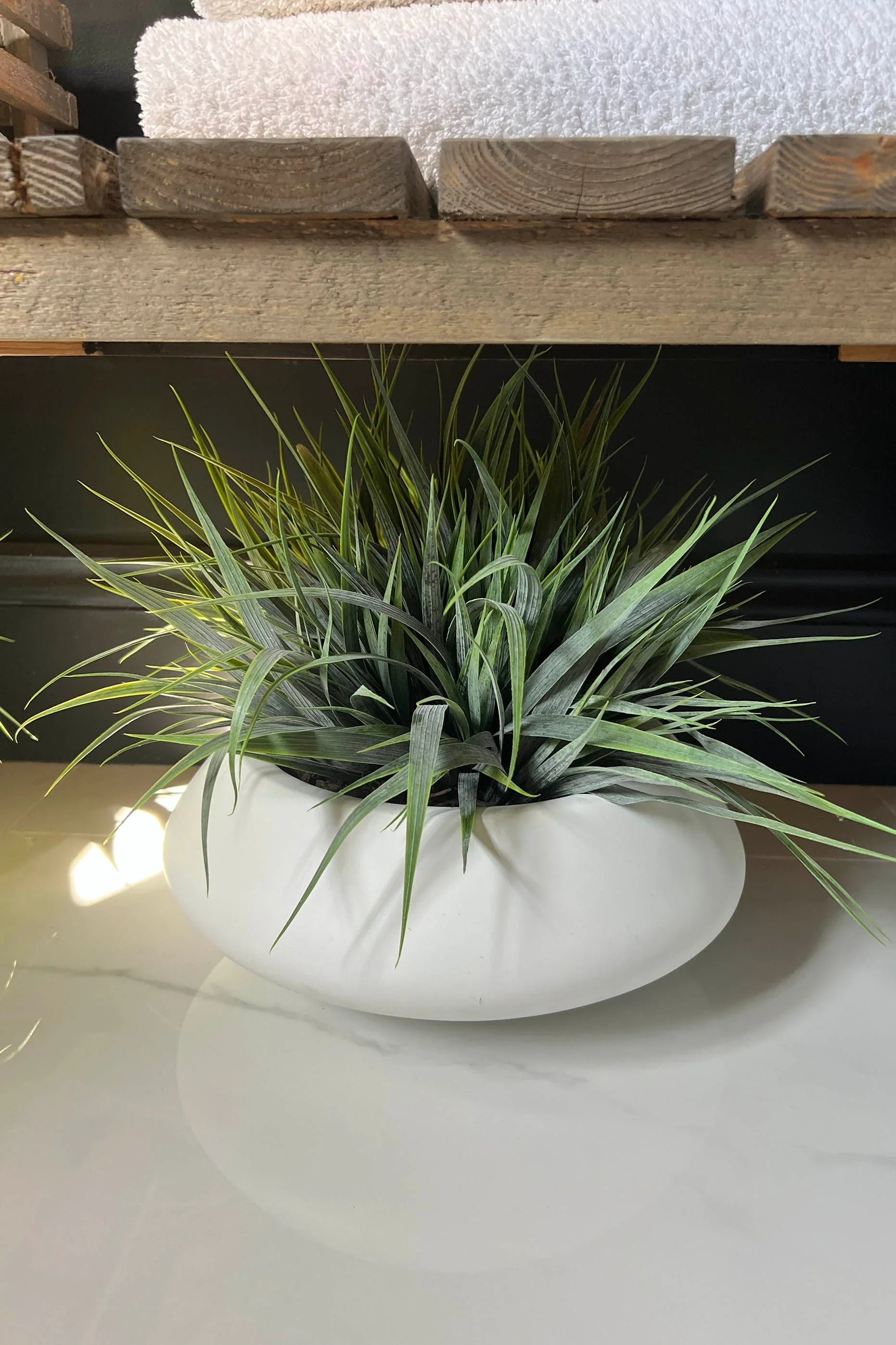 Vanilla Grass in a Matt White Bowl RTfact Flowers 