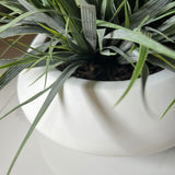 Vanilla Grass in a Matt White Bowl RTfact Flowers 
