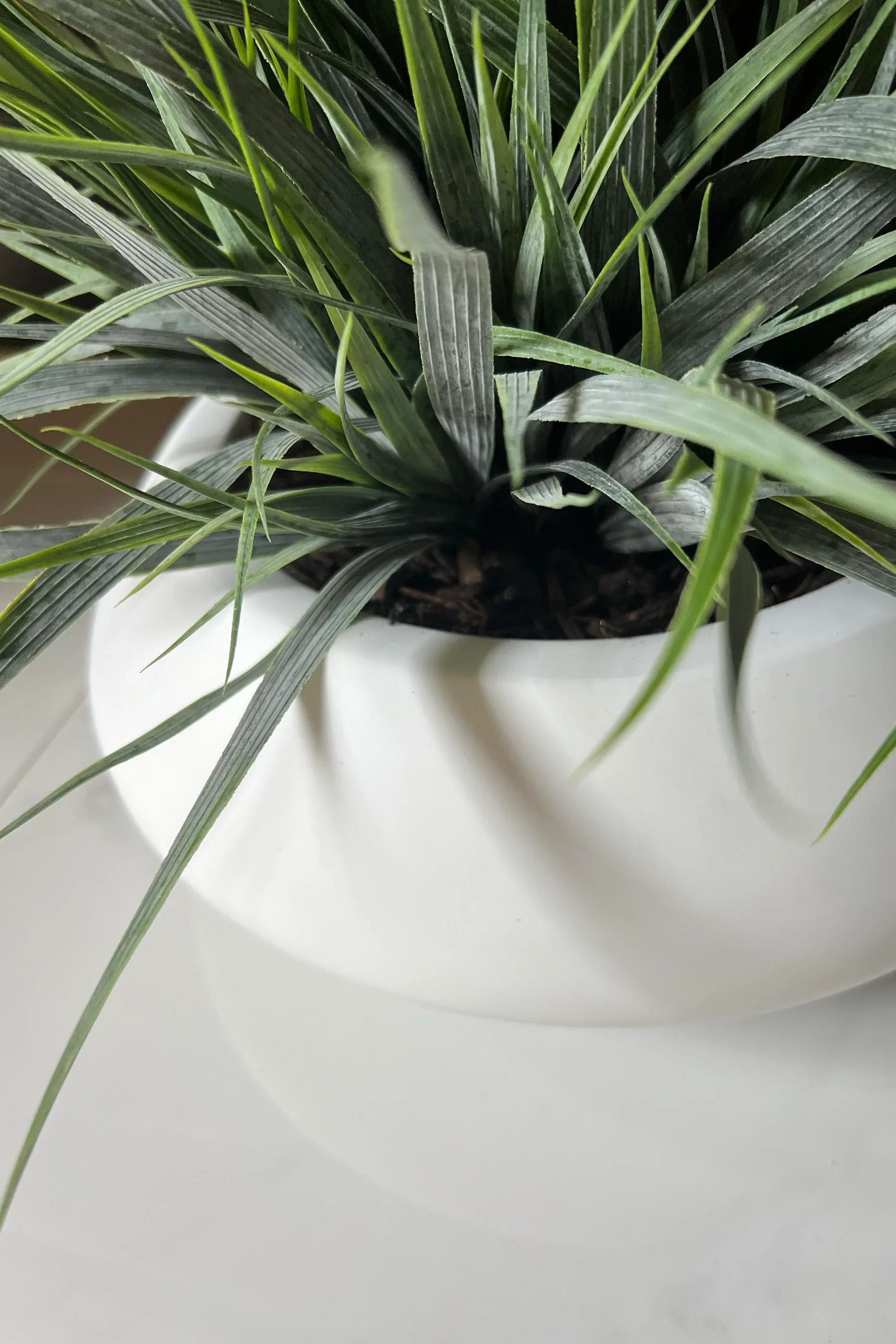 Vanilla Grass in a Matt White Bowl RTfact Flowers 