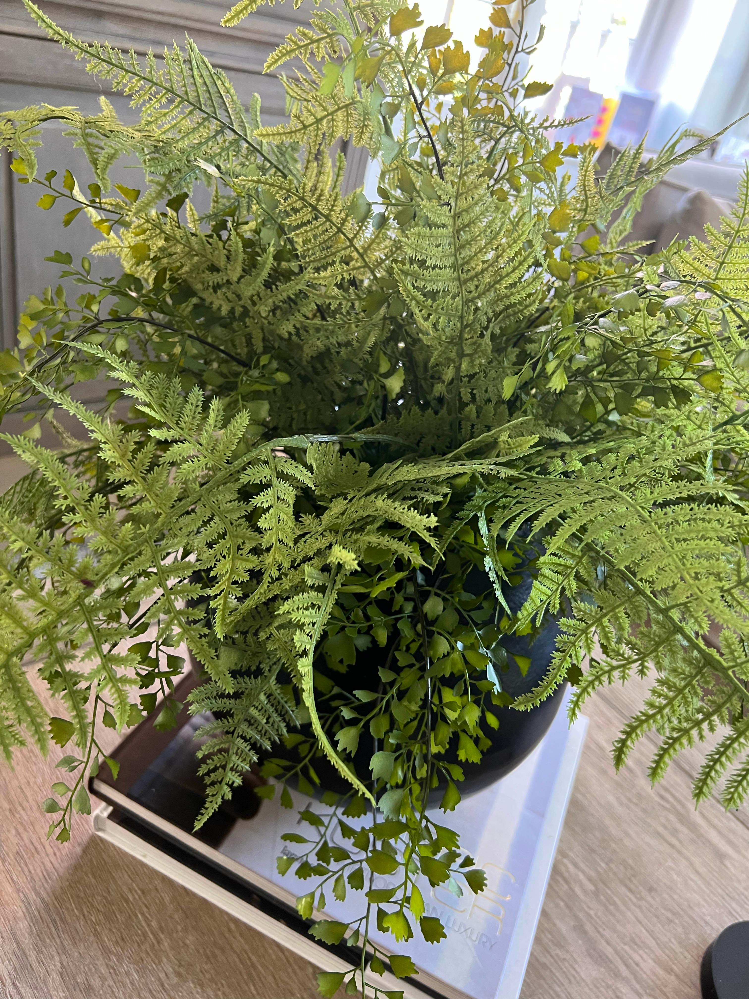 Ferns in a Black Metal Vase RTfact Flowers 