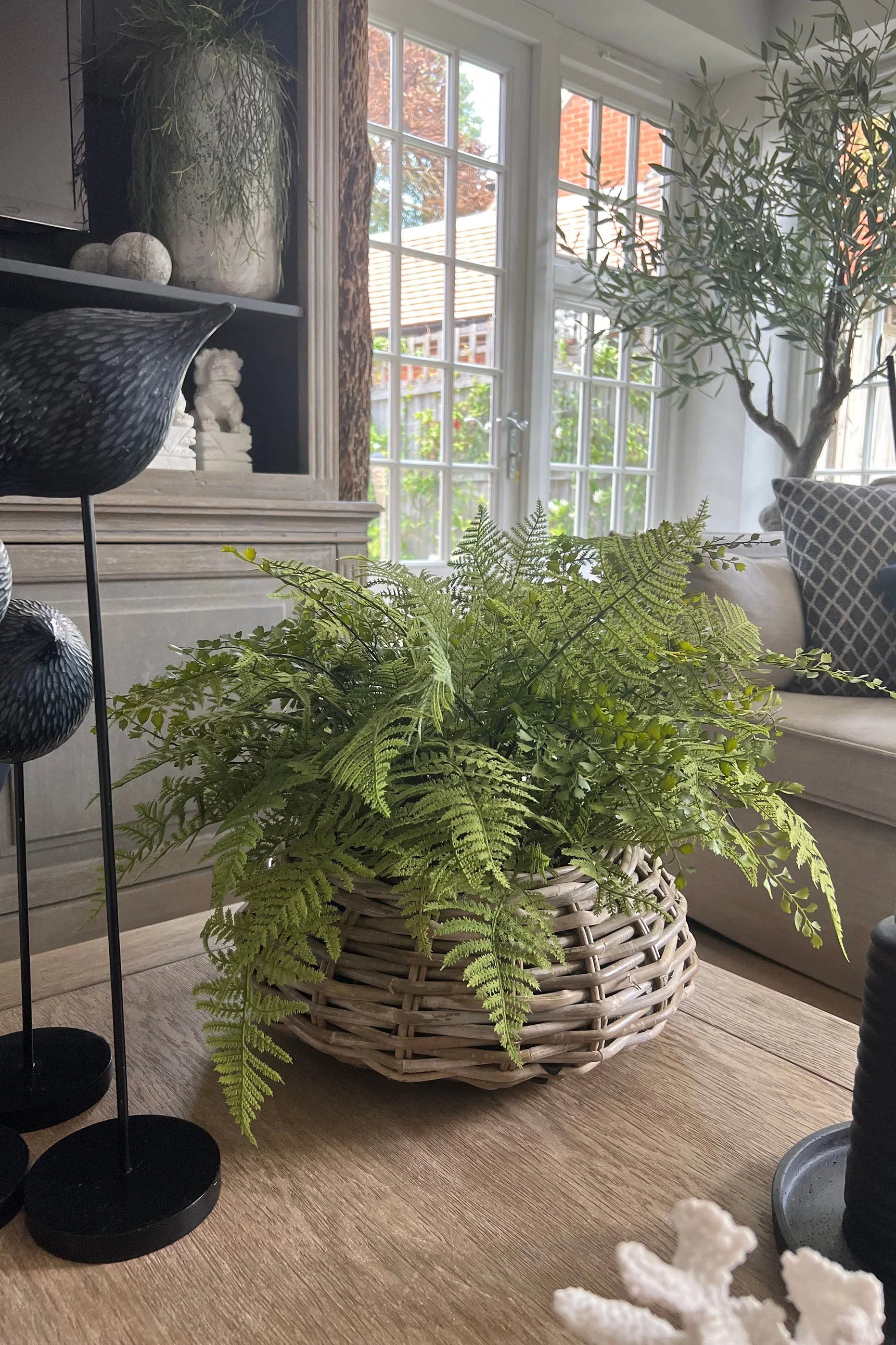 Ferns in a Wicker Basket RTfact Flowers 