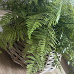 Ferns in a Wicker Basket RTfact Flowers 