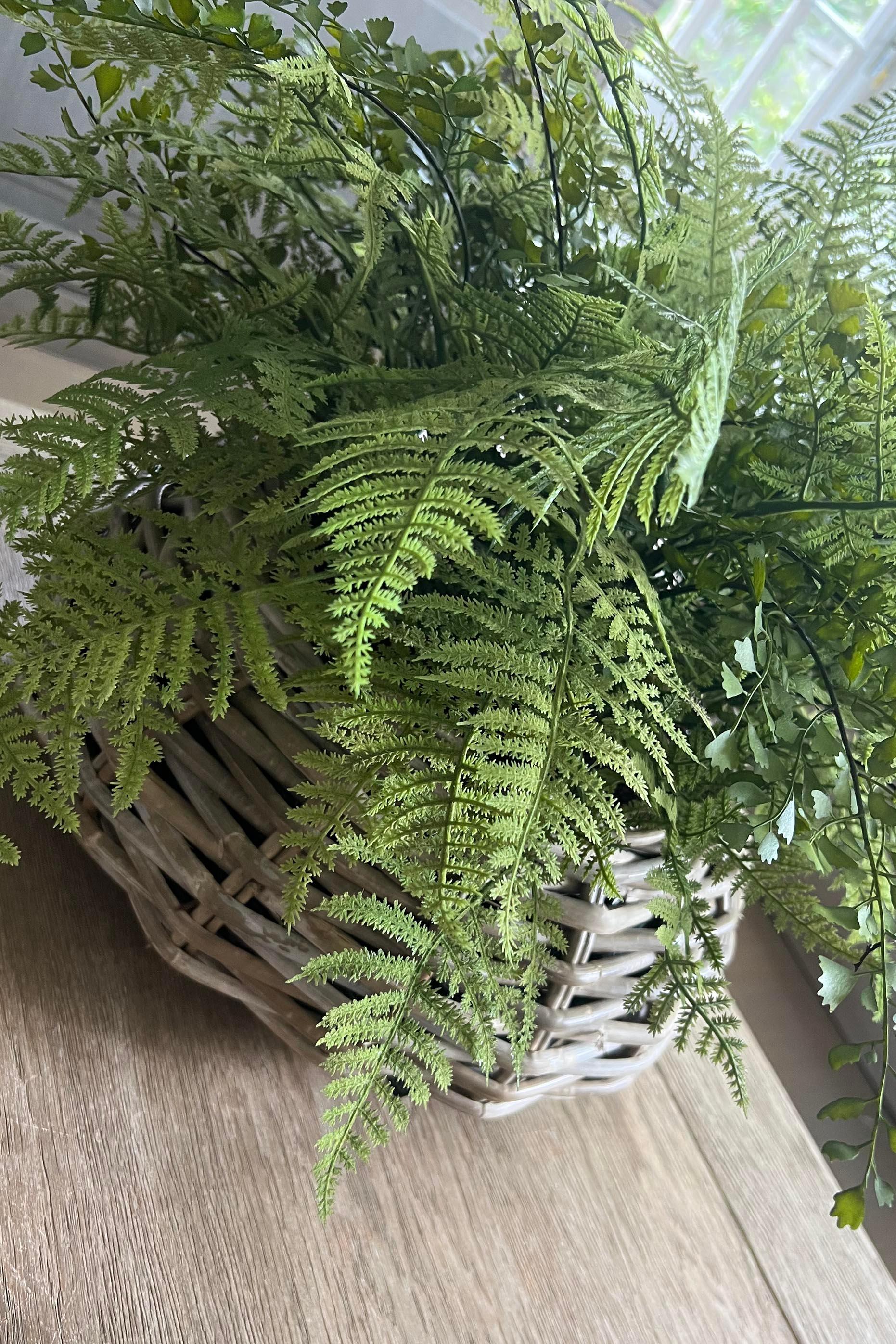 Ferns in a Wicker Basket RTfact Flowers 