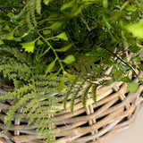 Ferns in a Wicker Basket RTfact Flowers 