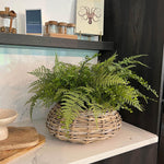 Ferns in a Wicker Basket RTfact Flowers 