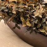 Lappa Bush in a Rose Bronze Boat RTfact Flowers 