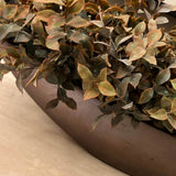 Lappa Bush in a Rose Bronze Boat RTfact Flowers 