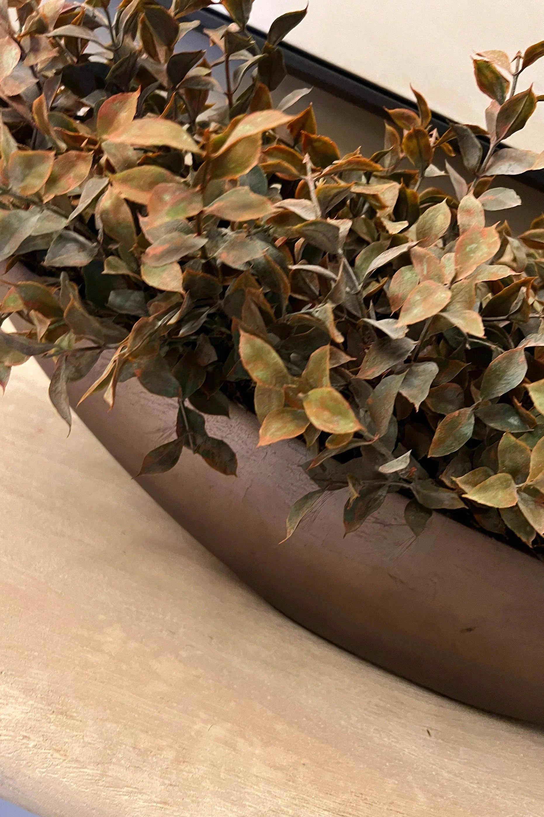 Lappa Bush in a Rose Bronze Boat RTfact Flowers 