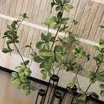 Test Tube Vases with Enkianthus Branch RTfact Flowers 