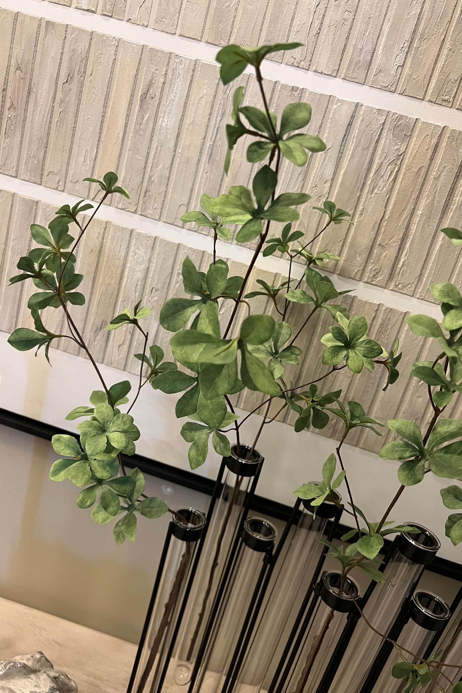 Test Tube Vases with Enkianthus Branch RTfact Flowers 