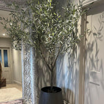 Artificial Olive Tree (210cm) RTfact Flowers 