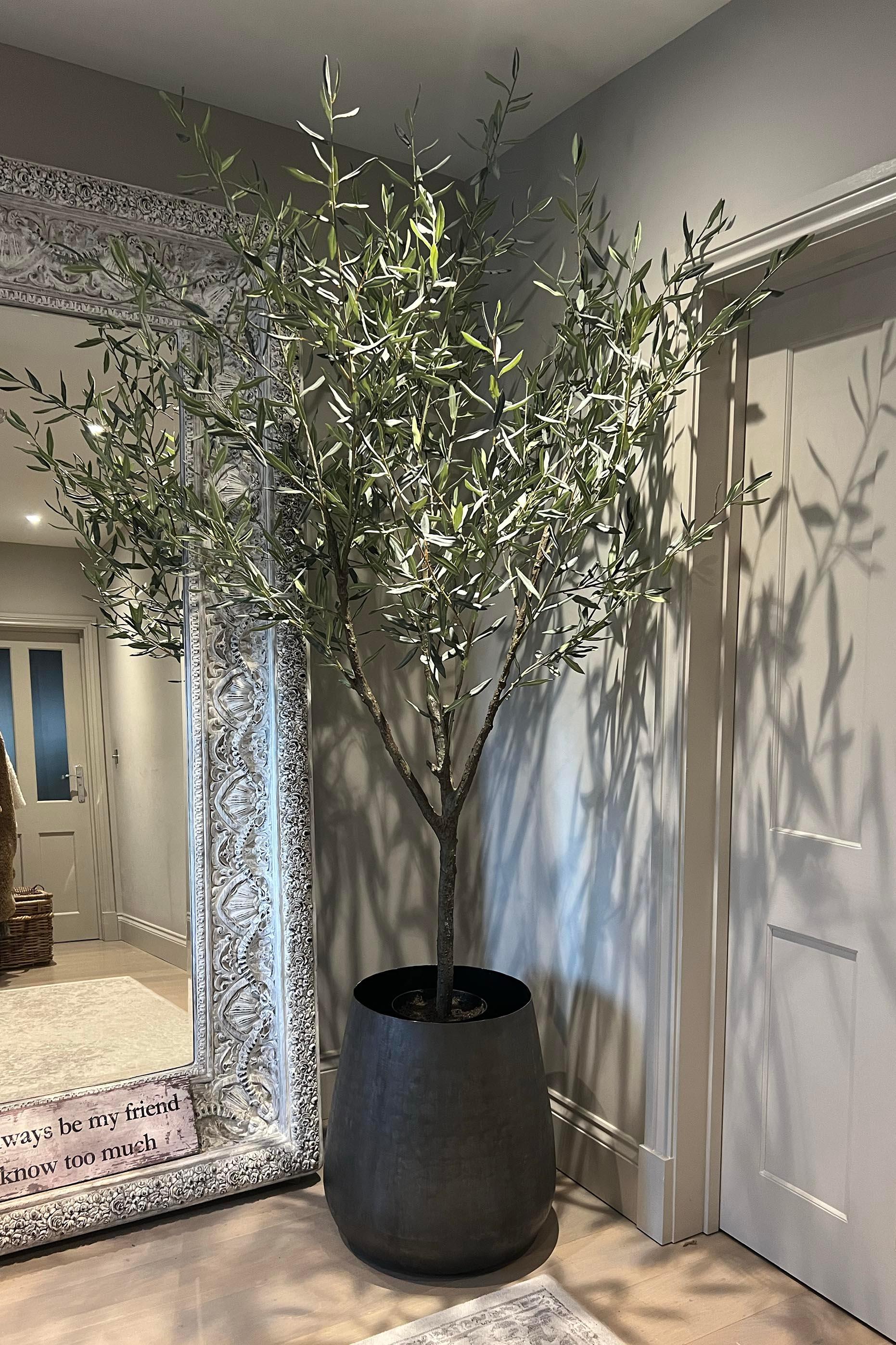 Artificial Olive Tree (210cm) RTfact Flowers 