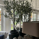 Artificial Olive Tree (150cm) RTfact Flowers 