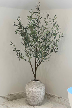Potted plant with faux olive branches against a plain wall