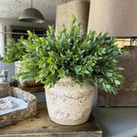 Ruscus in a Semi Glazed Stone Pot RTfact Flowers 