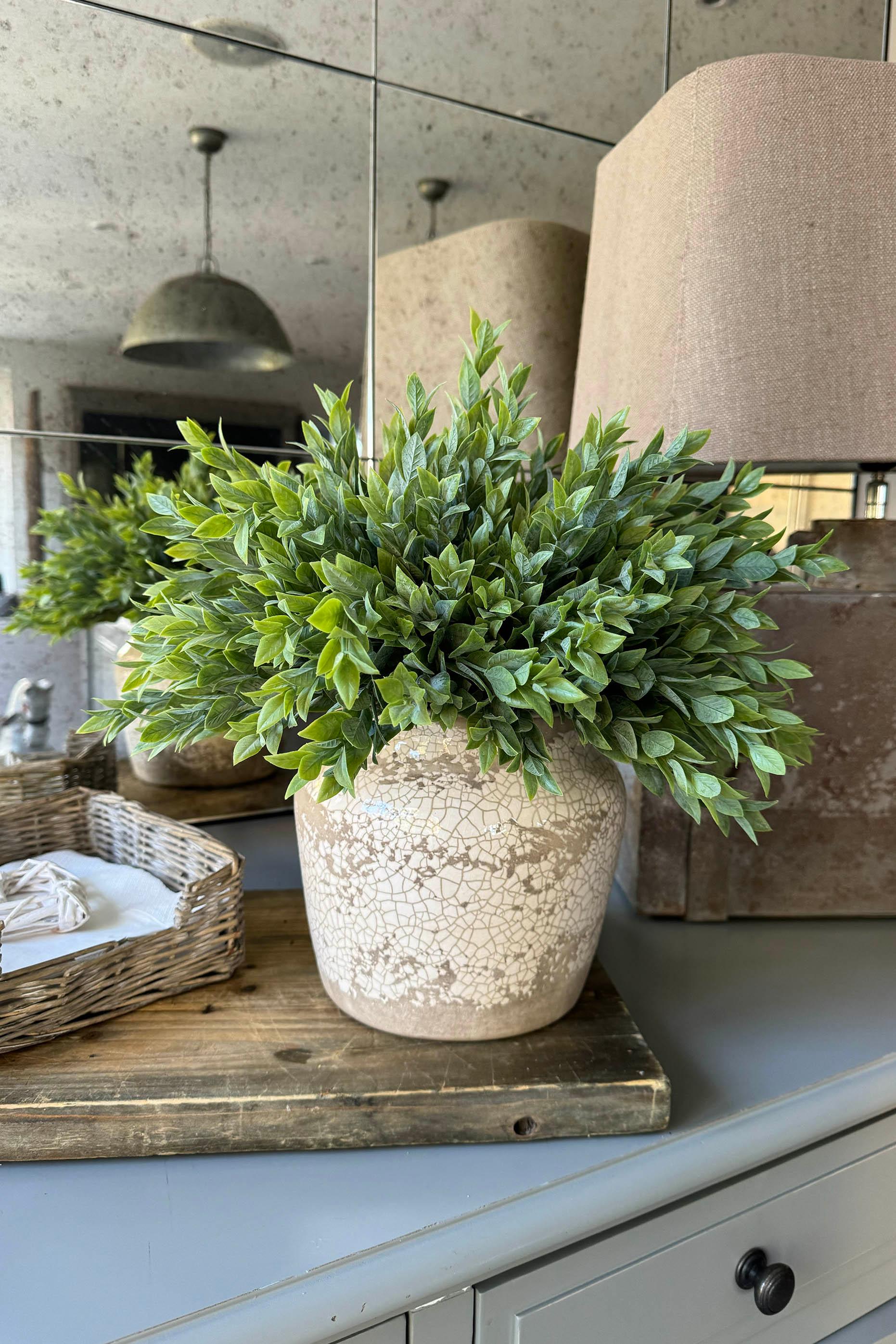 Ruscus in a Semi Glazed Stone Pot RTfact Flowers 