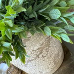 Ruscus in a Semi Glazed Stone Pot RTfact Flowers 