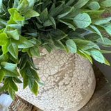 Ruscus in a Semi Glazed Stone Pot RTfact Flowers 