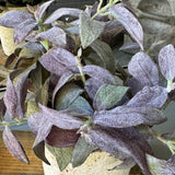 Purple Sage in a Pale Stone Pot RTfact Flowers 