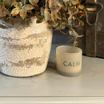 Lappa Bush in a Glazed aged Ceramic Pot RTfact Flowers 