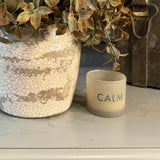 Lappa Bush in a Glazed aged Ceramic Pot RTfact Flowers 