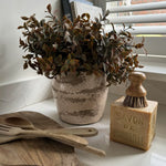 Lappa Bush in a Glazed aged Ceramic Pot RTfact Flowers 