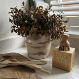 Lappa Bush in a Glazed aged Ceramic Pot RTfact Flowers 