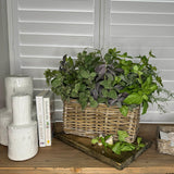 Mixed Herb Basket RTfact Flowers 
