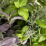 Mixed Herb Basket RTfact Flowers 