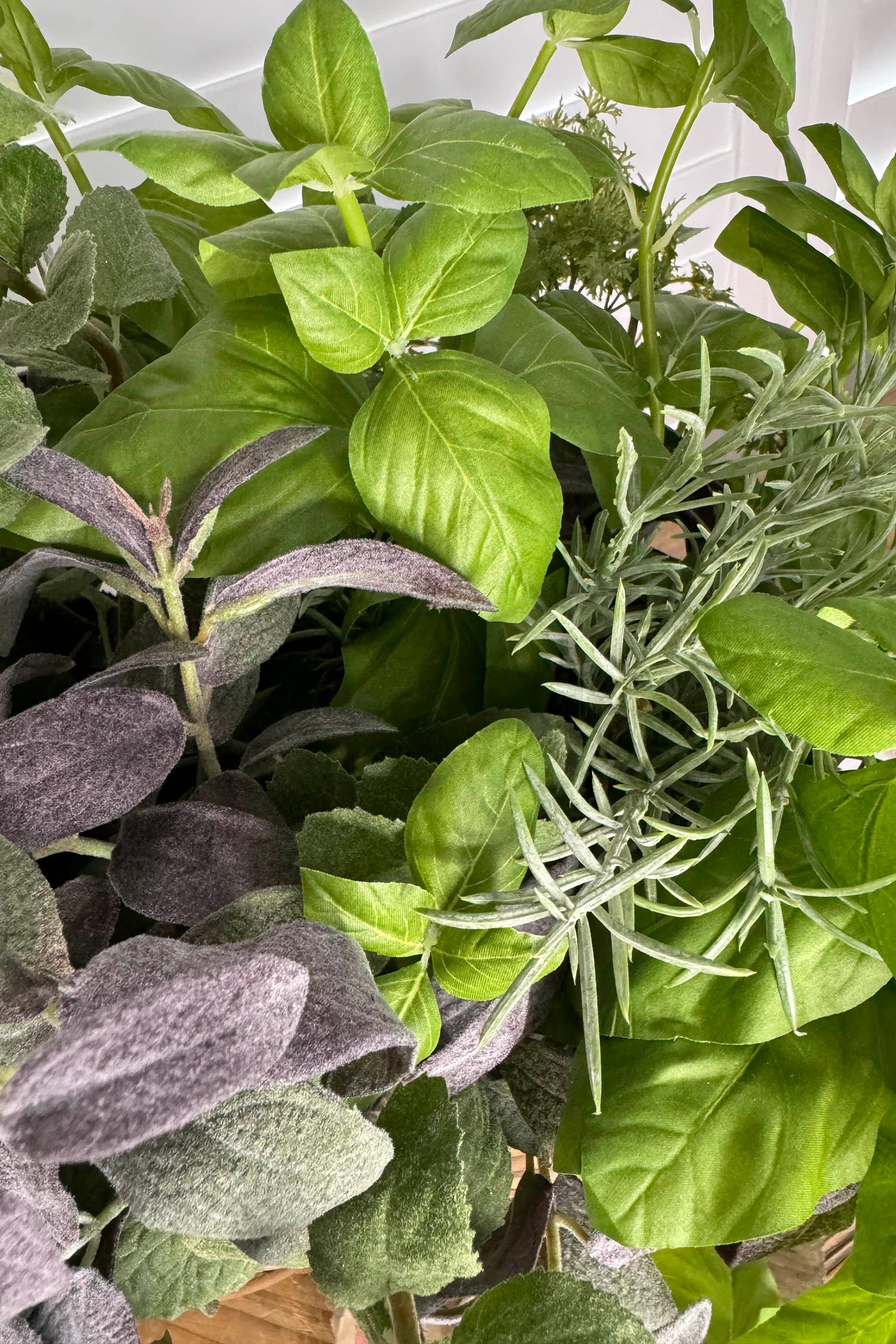 Mixed Herb Basket RTfact Flowers 