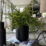 Maidenhair Fern in a Black Carved Vase RTfact Flowers 