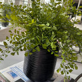 Maidenhair Fern in a Black Carved Vase RTfact Flowers 