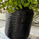 Maidenhair Fern in a Black Carved Vase RTfact Flowers 